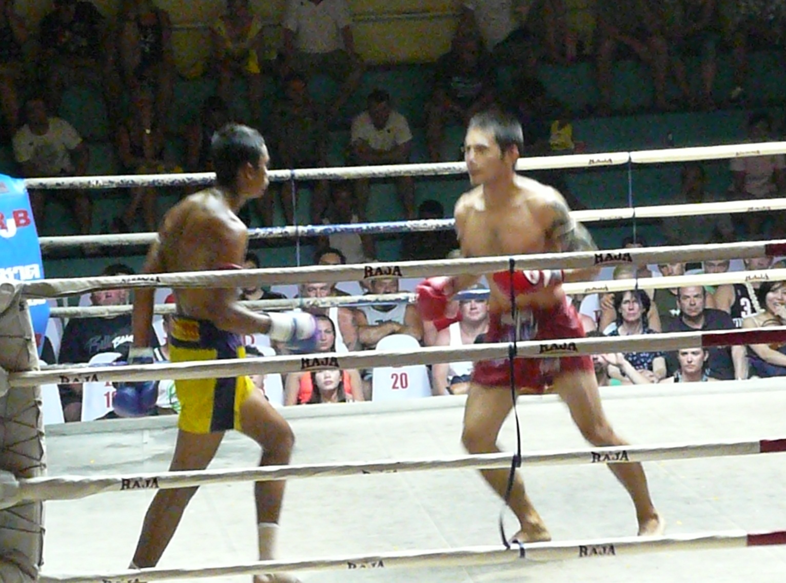 Thai Boxing(Muay Thai)